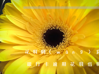 花唄網(wǎng)貸逾期凍結(jié)銀行卡(逾期花唄借唄把銀行卡也凍結(jié)導(dǎo)致沒(méi)錢還)