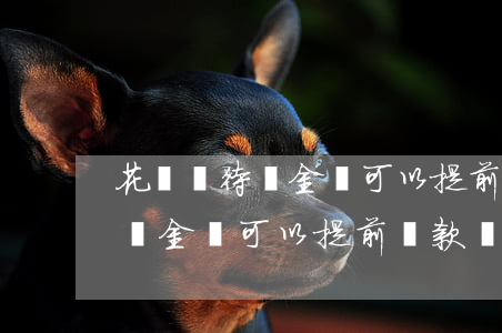 花唄總待還金額可以提前還款嗎-花唄總待還金額可以提前還款嗎安全嗎