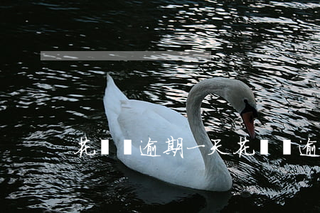 花唄總逾期一天(花唄總逾期一天)