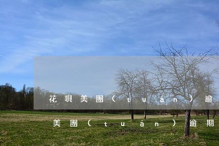 花唄美團(tuán)逾期可以辦信用卡嗎(美團(tuán)逾期了可以申請(qǐng)信用卡嗎)
