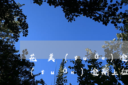 花唄美團(tuán)逾期多久上征信(美團(tuán)逾期上征信嗎?花唄逾期有什么后果)