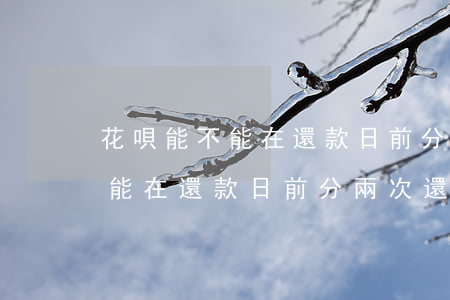 花唄能不能在還款日前分兩次還-花唄能不能在還款日前分兩次還款