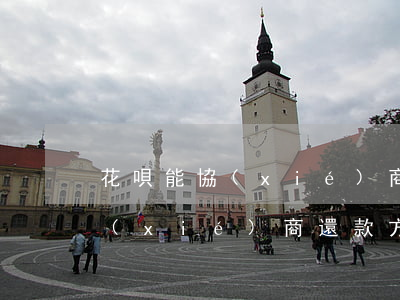 花唄能協(xié)商免息分期(花唄可以協(xié)商還款方式)