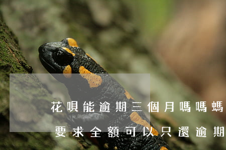 花唄能逾期三個月嗎嗎(螞蟻花唄逾期三個月要求全額可以只還逾期的嗎)