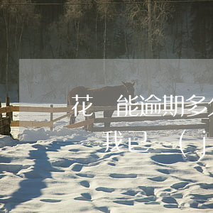 花唄能逾期多久不被告(花唄逾期多少天會起訴 我已經(jīng)還了2000多)