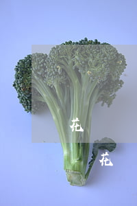 花唄臨時(shí)用完會(huì)逾期嗎(花唄之前逾期了,現(xiàn)在暫時(shí)不能使用,有)