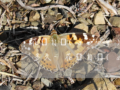 花唄自動(dòng)還余額不足可以逾期多久-花唄自動(dòng)還余額不足可以逾期多久呢