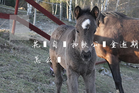 花唄自動扣款公積金逾期(借唄逾期自動扣款怎么辦)