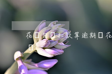 花唄自動扣款算逾期嗎(花唄自動扣款算逾期嗎)