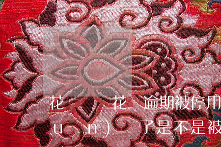 花唄螞蟻花唄逾期被停用(花唄逾期被關(guān)閉了,是不是被系統(tǒng)清零了)