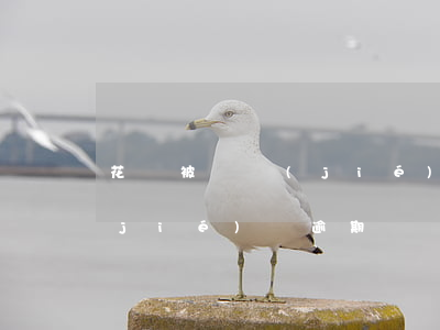 花唄被凍結(jié)沒逾期(花唄被凍結(jié)沒逾期)