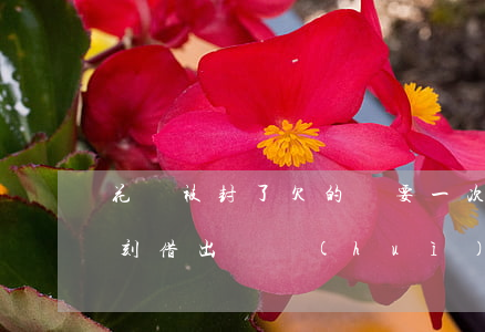 花唄被封了欠的錢要一次還完嗎(花唄還完立刻借出來會(huì)封么)