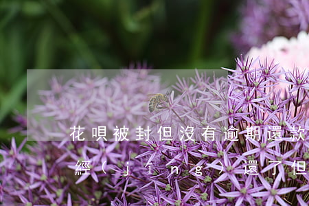 花唄被封但沒有逾期還款(為什么花唄逾期已經(jīng)還了,但是用不了花唄)