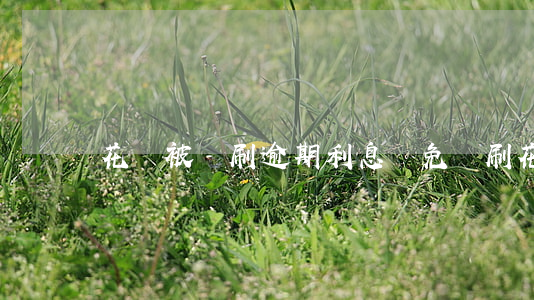 花唄被盜刷逾期利息減免(盜刷花唄定罪)
