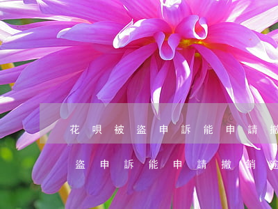 花唄被盜申訴能申請撤銷逾期記錄-花唄被盜申訴能申請撤銷逾期記錄嗎