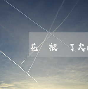花唄被關了欠的錢怎么還(花唄被收回咋還款)