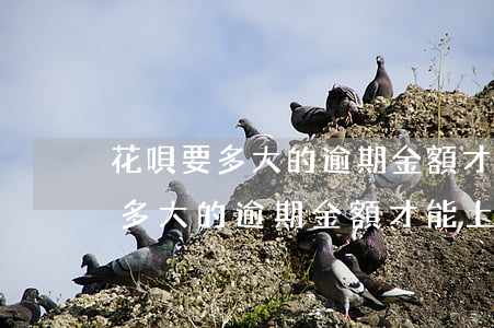 花唄要多大的逾期金額才能上征信-花唄要多大的逾期金額才能上征信呢