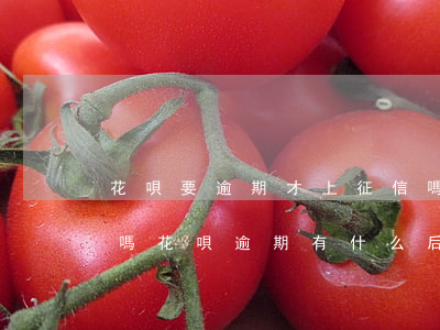 花唄要逾期才上征信嗎(花唄逾期多久上征信嗎?花唄逾期有什么后果)
