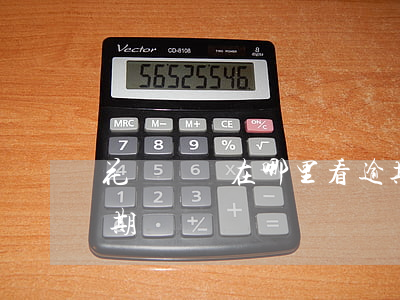 花唄記錄在哪里看逾期(花唄記錄在哪里看逾期)