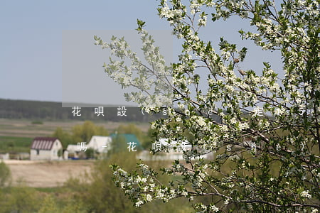 花唄設(shè)定15日還款還能分期還嗎-花唄設(shè)定15日還款還能分期還嗎為什么