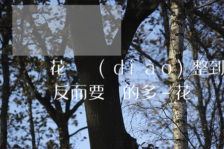 花唄調(diào)整到20號(hào)反而要還的多-花唄調(diào)到20號(hào)還款好不好