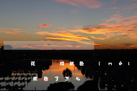 花唄變成灰色沒(méi)有逾期-花唄變灰色了怎么辦