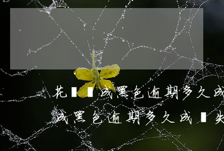 花唄變成黑色逾期多久成為失信人-花唄變成黑色逾期多久成為失信人員