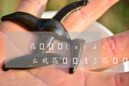 花唄變現(xiàn)_欠的不用還嗎(為什么我花唄還清了花唄當(dāng)面花還顯示欠錢)