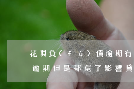 花唄負(fù)債逾期有什么后果(花唄有過逾期,但是都還了,影響貸款嗎)