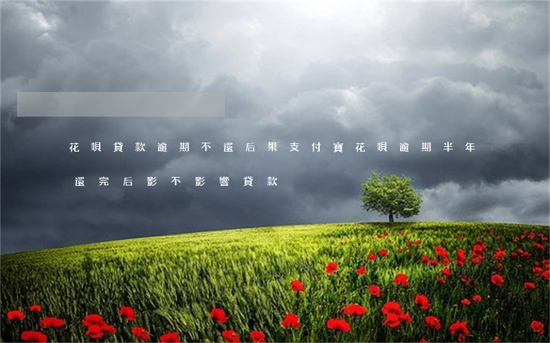 花唄貸款逾期不還后果(支付寶花唄逾期半年,還完后,影不影響貸款)