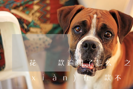 花唄貸款逾期了怎么辦(之前花唄逾期了現(xiàn)在貸款不給我貸了怎么辦)