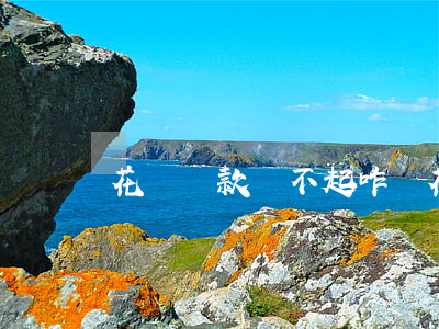 花唄貸款還不起咋辦(花唄還不起該怎么辦)