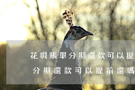 花唄賬單分期還款可以提前還嗎-花唄賬單分期還款可以提前還嗎