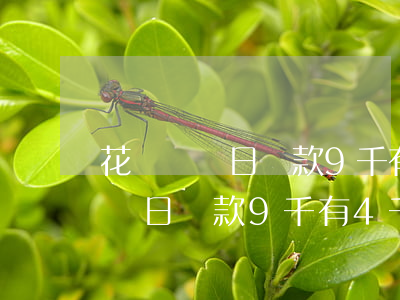 花唄賬單日還款9千有4千怎么還-花唄賬單日還款9千有4千怎么還款