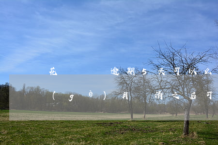 花唄賬單逾期5天可以么(花唄賬單逾期五個(gè)月還清之后可以正常使用嗎)