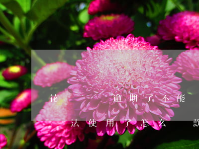 花唄賬單逾期了不能還可(花唄顯示逾期,花唄無法使用了,怎么還款)