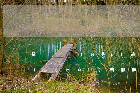 花唄賬戶沒(méi)逾期被凍結(jié)(沒(méi)有逾期花唄怎么會(huì)凍結(jié)了?)