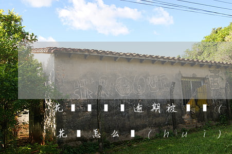 花唄賬戶沒逾期被凍結(jié)(沒有逾期花唄怎么會(huì)凍結(jié)了?)