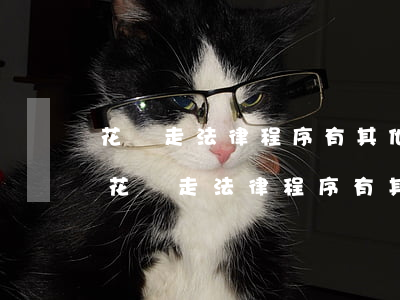 花唄走法律程序有其他費(fèi)用嗎-花唄走法律程序有其他費(fèi)用嗎