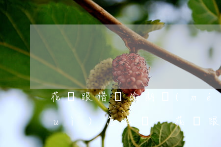 花唄跟借唄逾期沒(méi)有處理會(huì)怎么樣-花唄跟借唄逾期沒(méi)有處理會(huì)怎么樣嗎