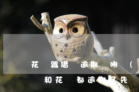 花唄跟借唄逾期還哪個(gè)先(支付寶借唄和花唄都逾期了先還哪個(gè))