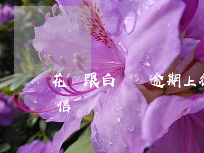 花唄跟白條沒逾期上征信嗎(花唄與白條上征信嗎)