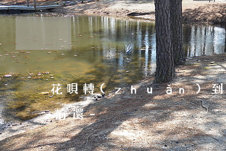 花唄轉(zhuǎn)到下期的還款怎么提前還-