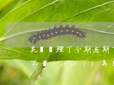 花唄辦理了分期逾期了(花唄逾期分期還款后不會(huì)再騷擾我吧)