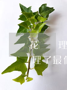 花唄辦理了最低還款還能全額還嗎-花唄辦理了最低還款還能全額還嗎