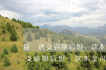 花唄透支逾期后想還款本金可以嗎-花唄透支逾期后想還款本金可以嗎怎么還