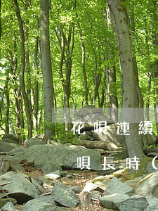 花唄連續(xù)逾期有什么危害(支付寶花唄長時(shí)間逾期有什么影響)
