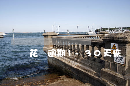 花唄逾期1-30天恢復(fù)