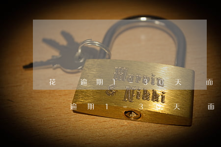 花唄逾期1-30天負面記錄申訴成功-花唄逾期1-30天負面記錄申訴成功了嗎