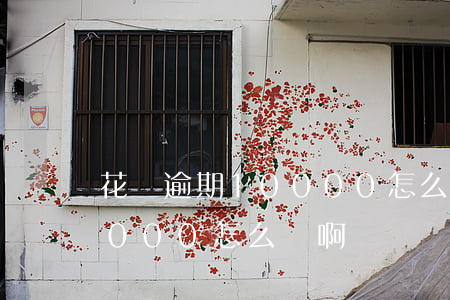 花唄逾期10000怎么辦-花唄逾期10000怎么辦啊